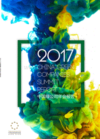 2017中国绿公司年会报告.pdf