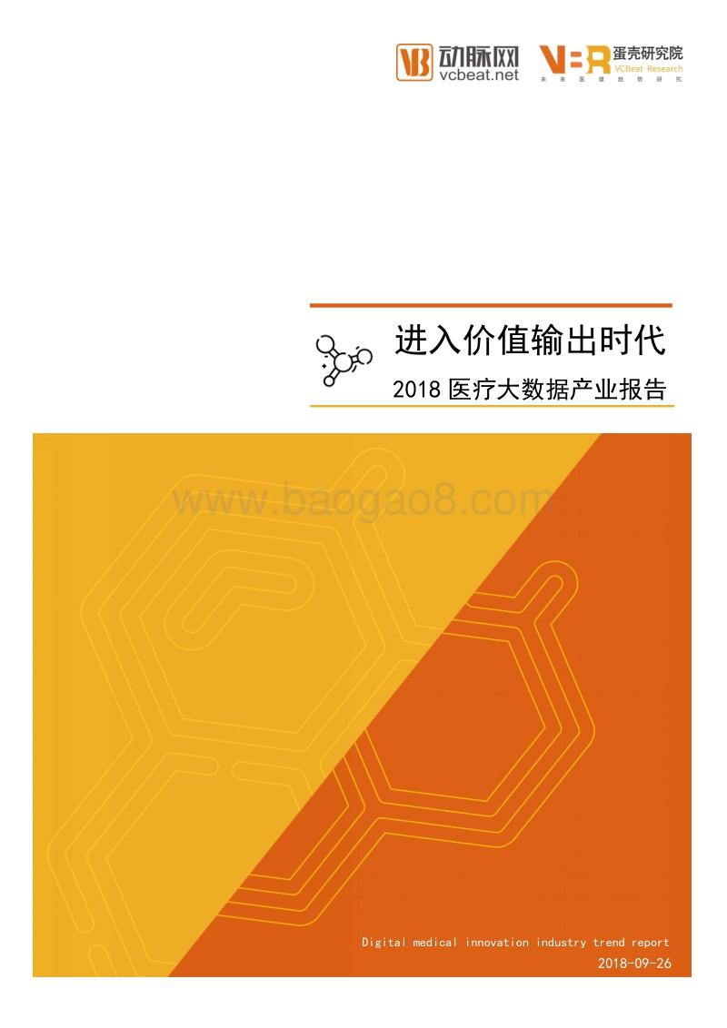 2018医疗大数据产业报告.pdf_第1页