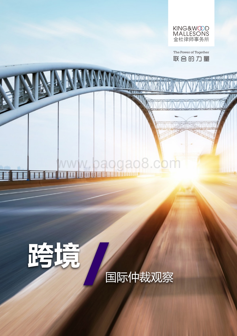《跨境》演进与适应.pdf_第1页