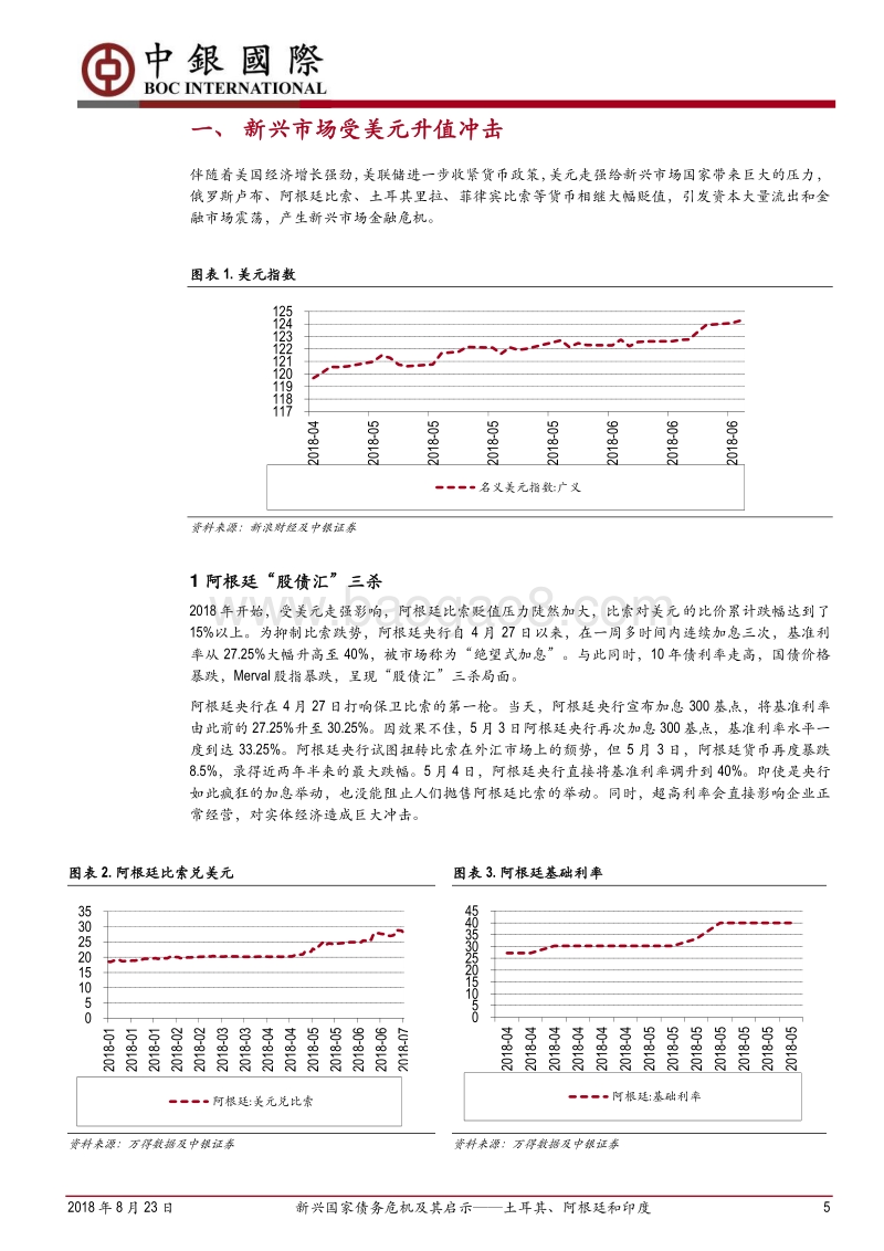 新兴国家债务危机及其启示——土耳其、阿根廷和印度.pdf_第5页