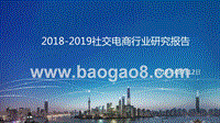 2018-2019社交电商行业研究报告.pptx
