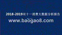 2018-2019双十一消费大数据分析报告.pptx
