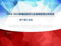 2018-2019肿瘤创新药行业慢病管理分析报告.pptx