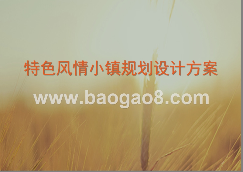 特色风情小镇规划设计方案.ppt_第1页