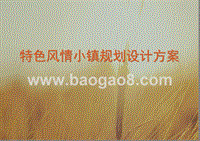 特色风情小镇规划设计方案.ppt
