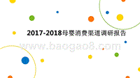 2017-2018母婴消费渠道调研报告.pptx