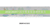 2018-2019中国孕婴童渠道调研报告.pptx