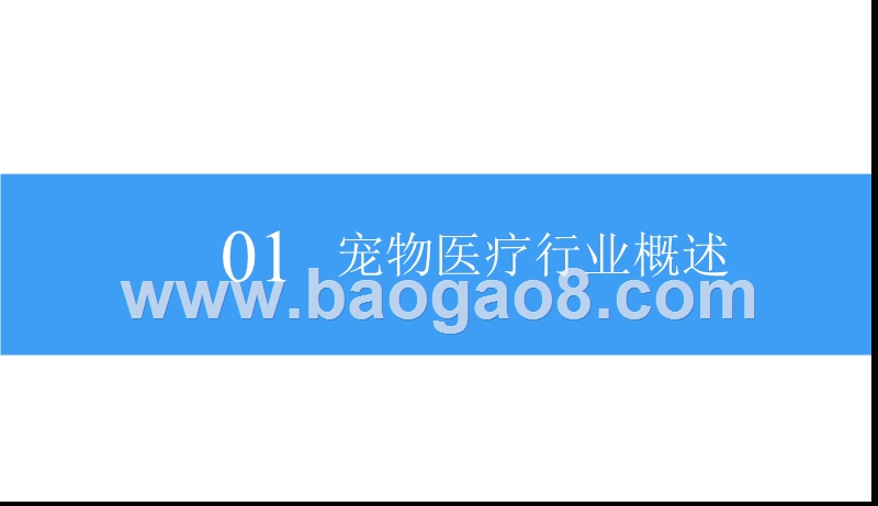 2018-2019中国宠物医疗行业研究报告.pptx_第5页