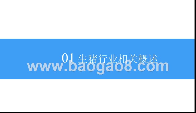 2018-2019猪肉行业研究报告.pptx_第5页