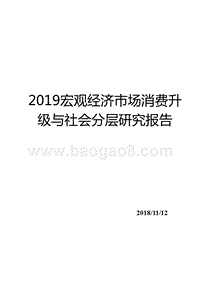 2019宏观经济市场消费升级与社会分层研究报告.pptx