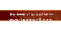 2018-2019移动手机行业消费分析报告.pptx