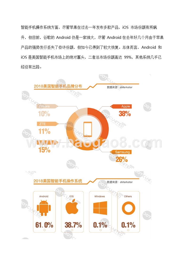 2018-2019美国互联网广告市场研究报告.pptx_第5页