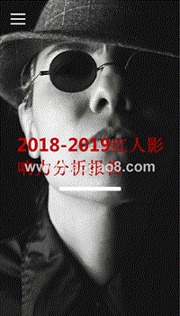 2018-2019红人影响力分析报告.pptx