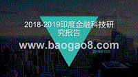2018-2019印度金融科技研究报告.pptx