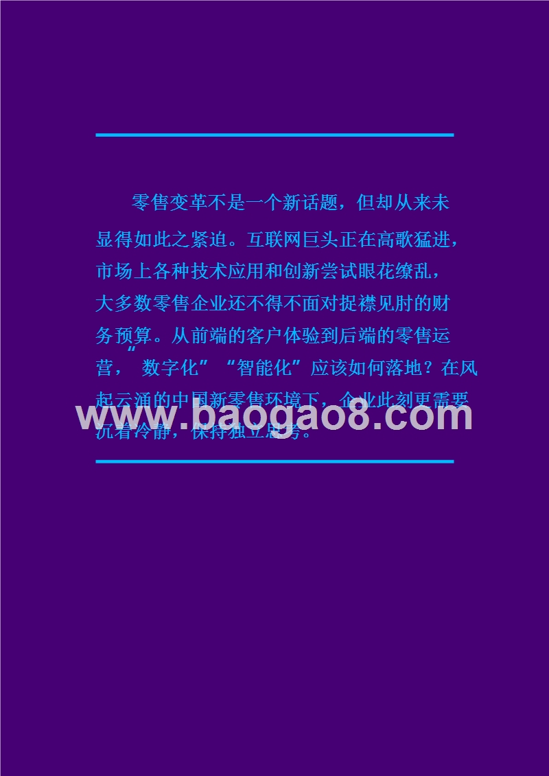 新零售全渠道解决方案.pptx_第2页