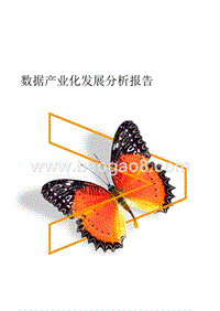 数据产业化发展分析报告.pptx