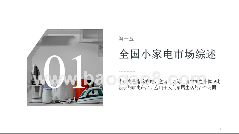 2018-2019全国小家电线上市场分析报告.pptx_第3页