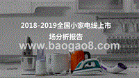 2018-2019全国小家电线上市场分析报告.pptx