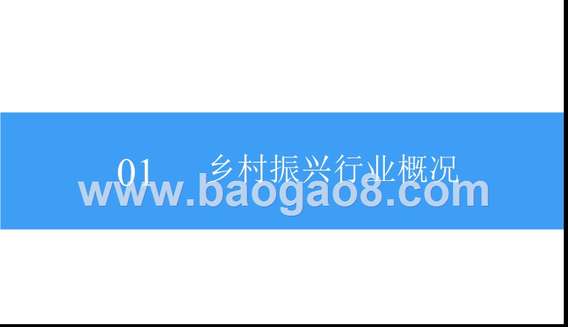 2018-2019中国乡村振兴农业市场研究报告.pptx_第5页