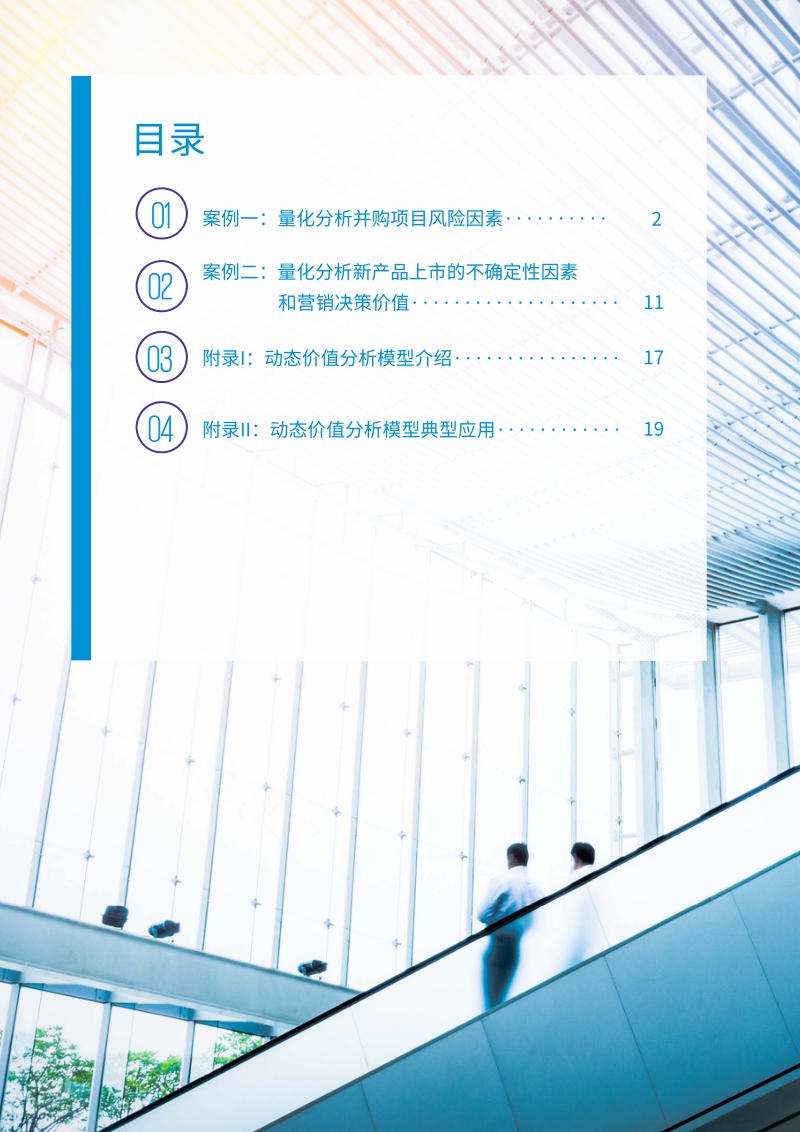 风险量化模型为“一带一路”战略决策提供科学依据.pdf_第2页