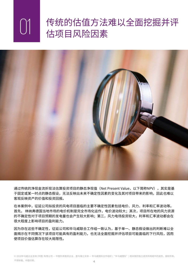 风险量化模型为“一带一路”战略决策提供科学依据.pdf_第5页