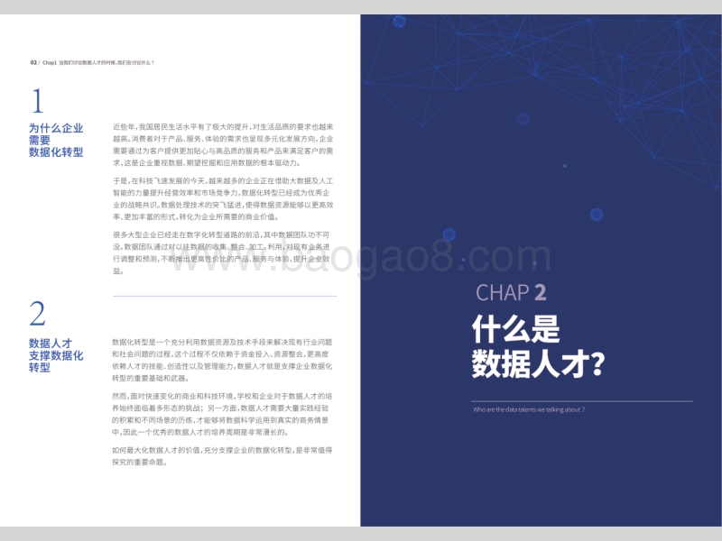2018数据人才白皮书.pdf_第4页