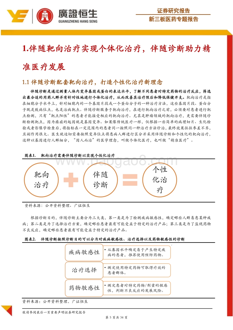 伴随诊断专题报告：伴随诊断借靶向治疗东风，促精准医疗之势.pdf_第5页