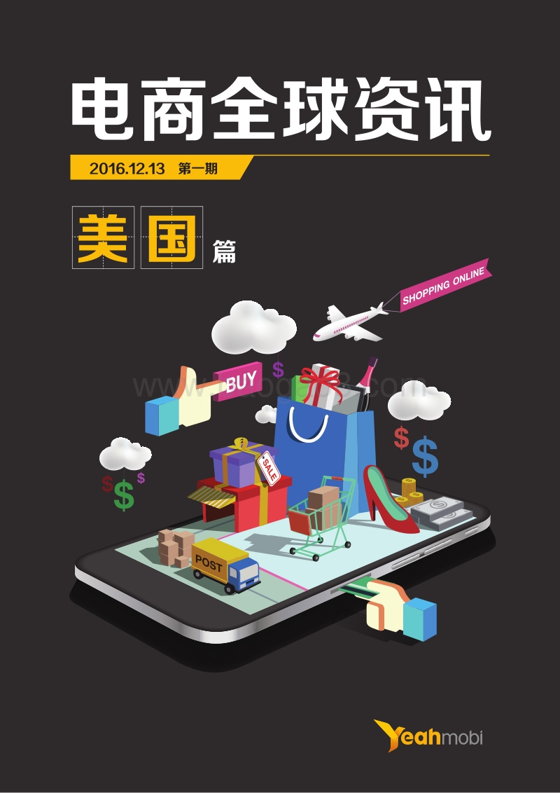 电商全球资讯美国篇.pdf_第1页