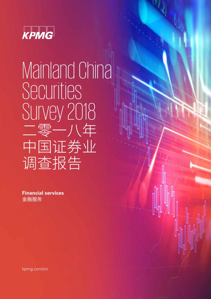 2018年中国证券业调查报告.pdf_第1页