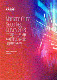 2018年中国证券业调查报告.pdf