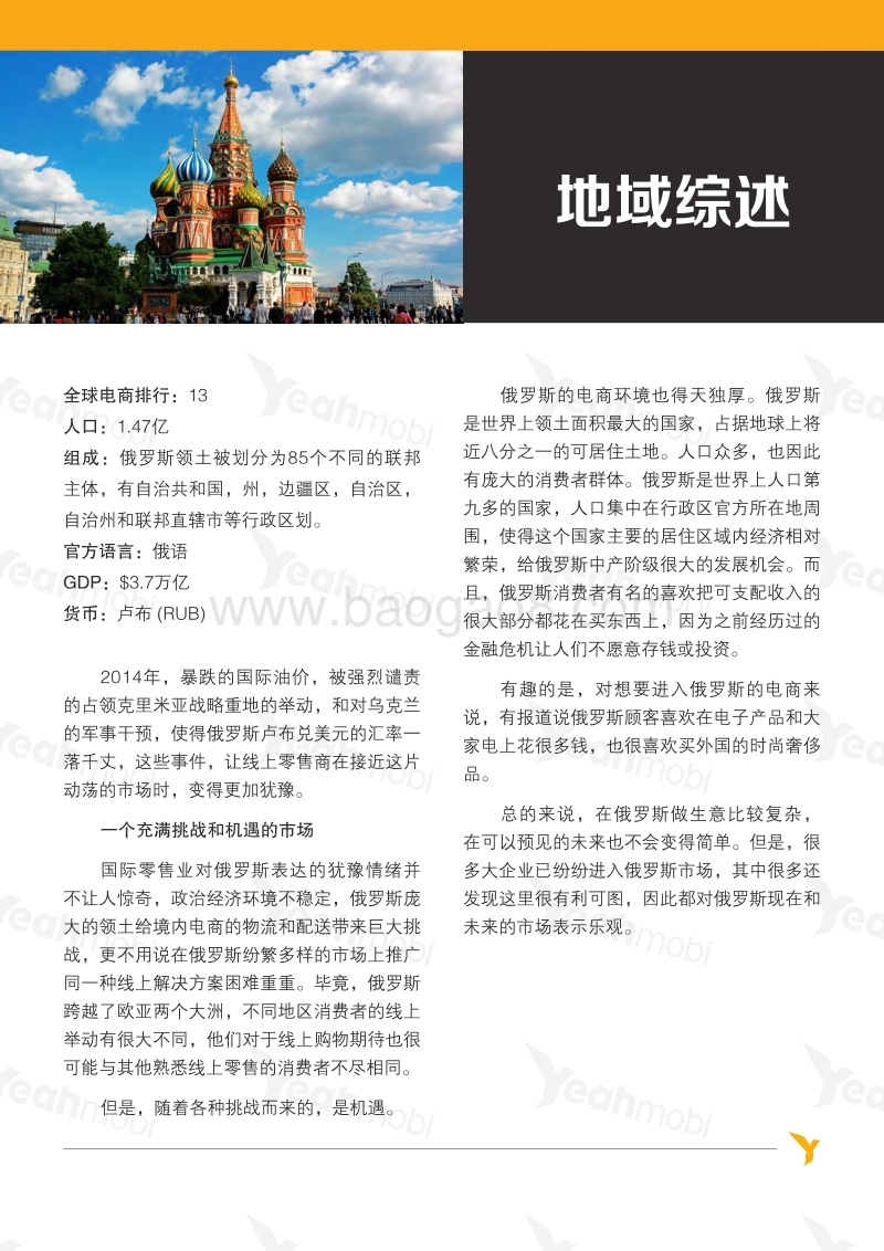 电商全球资讯俄罗斯篇.pdf_第2页