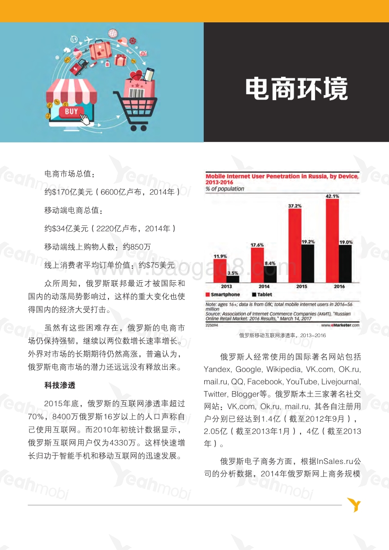 电商全球资讯俄罗斯篇.pdf_第3页