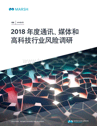 2018年度通讯、媒体和高科技行业风险调研.pdf