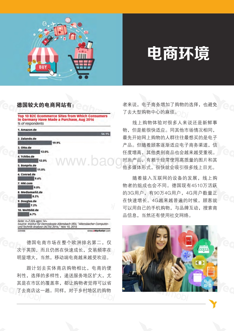 电商全球资讯德国篇.pdf_第3页