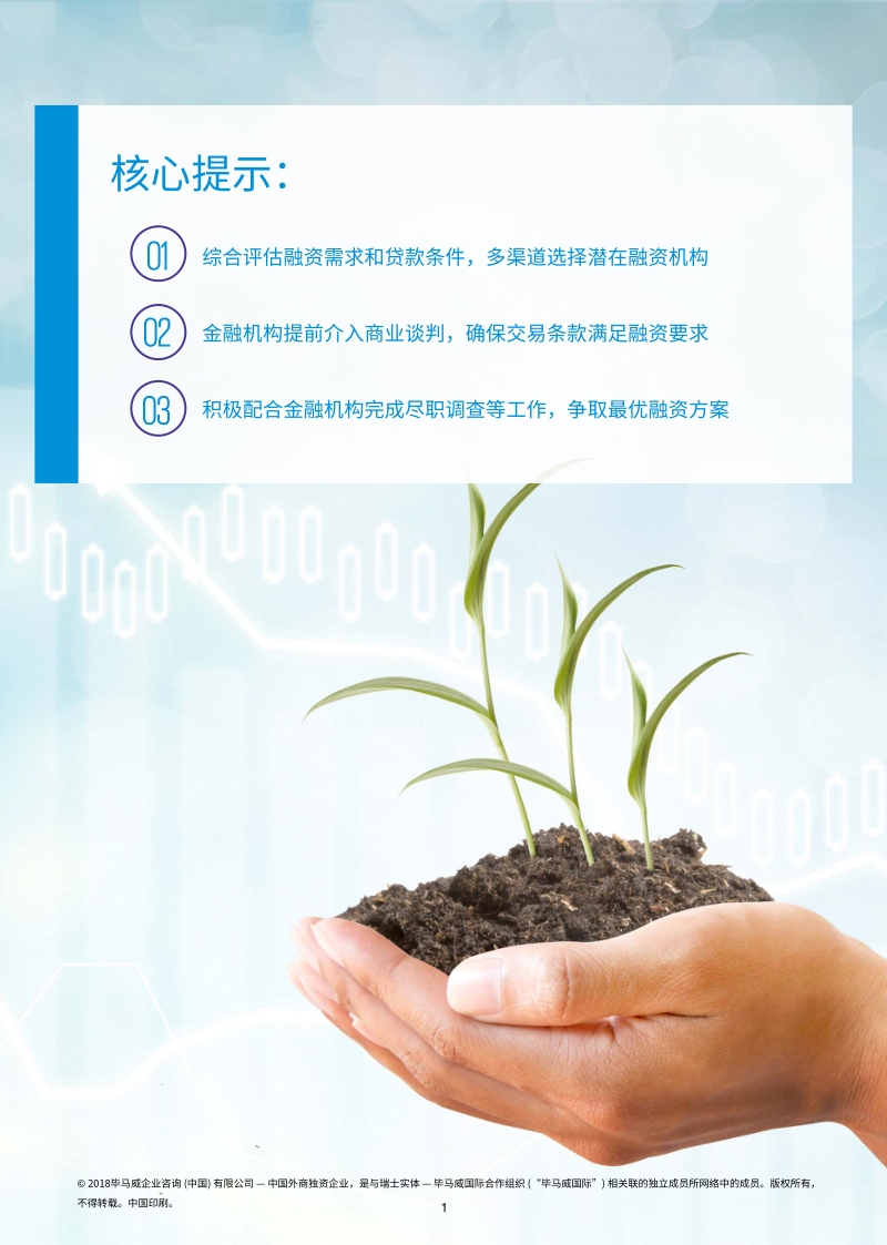 “一带一路”项目成功融资关键环节.pdf_第2页
