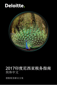 2017印度尼西亚税务指南.pdf