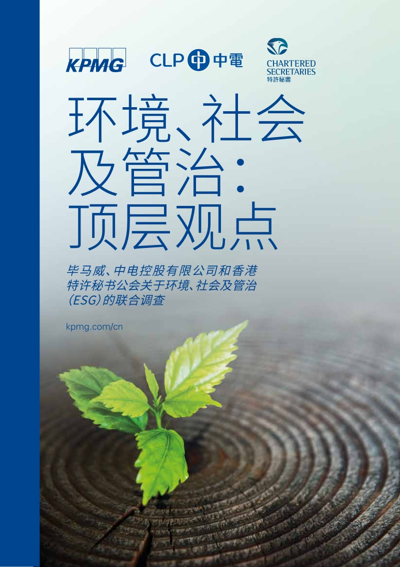 环境、社会及管治：顶层观点.pdf_第1页