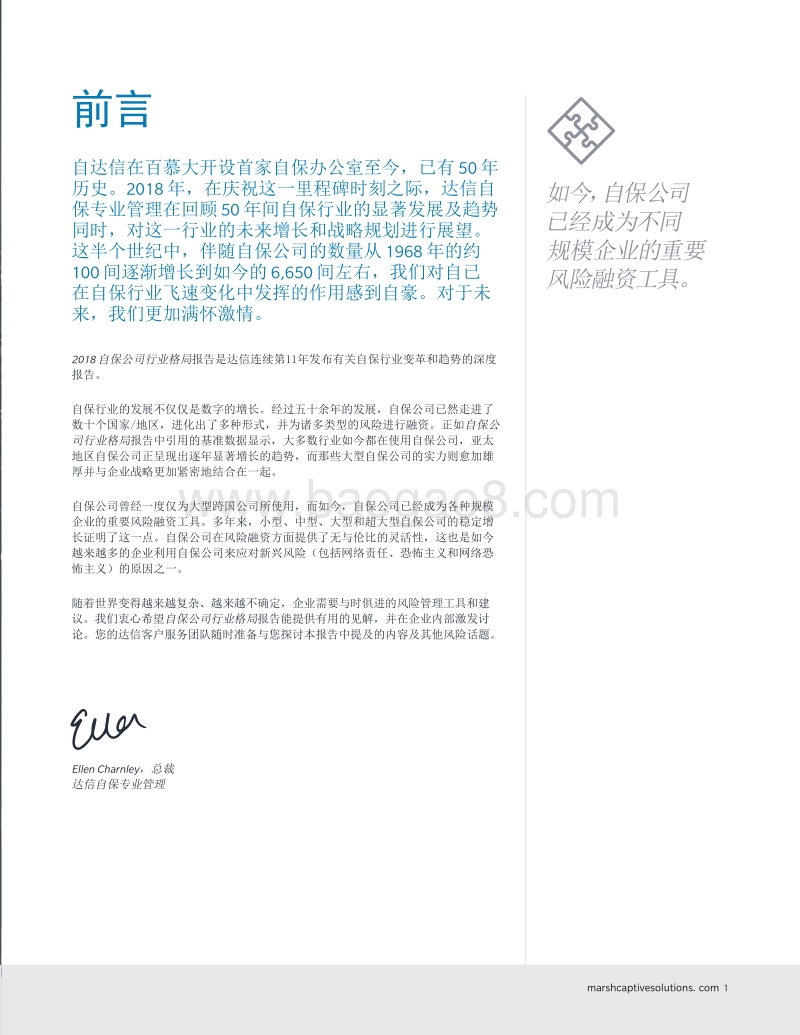 自保公司行业格局：风险融资创新50年.pdf_第3页