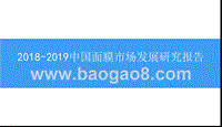 2018-2019中国面膜市场发展研究报告.pptx