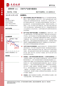 天然气产业链专题报告：煤改气快速释放，LNG成保供主力.pdf