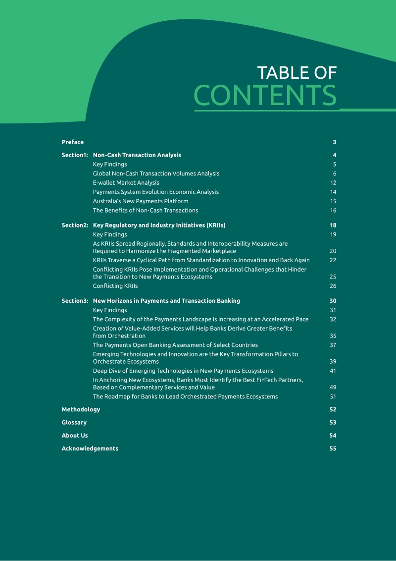 2018年世界支付报告.pdf_第2页