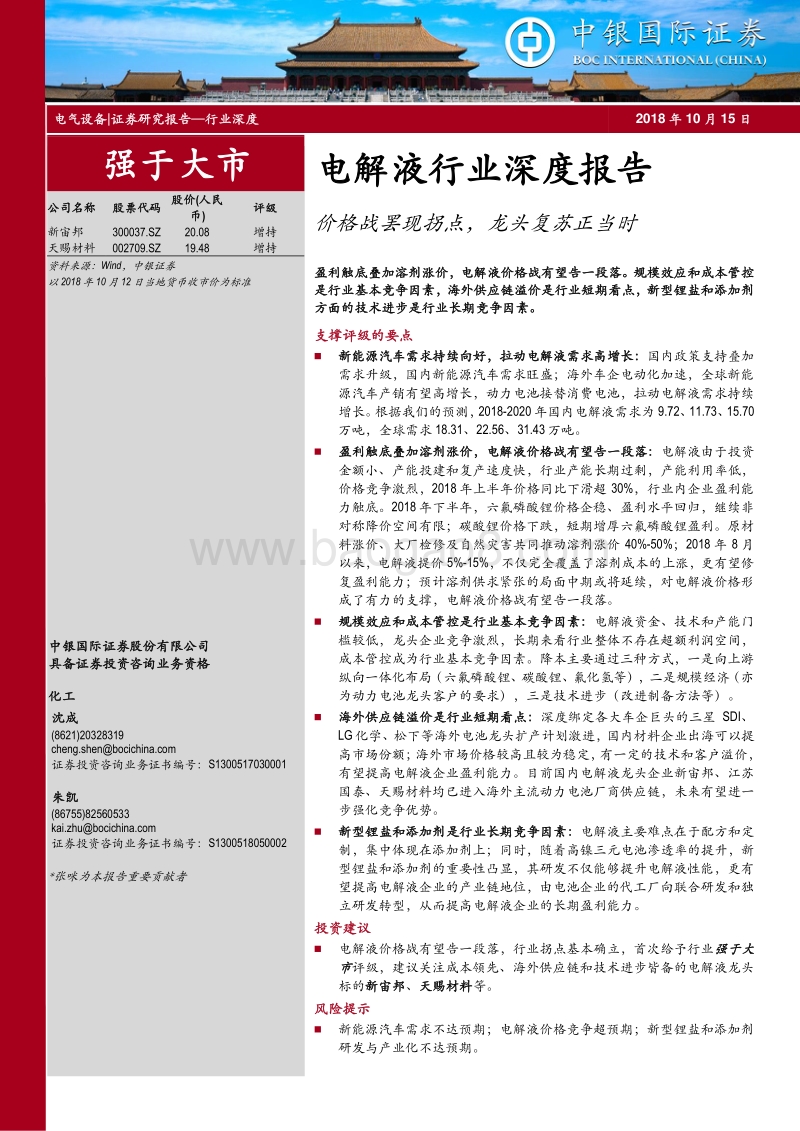 电解液行业深度报告：价格战罢现拐点，龙头复苏正当时.pdf_第1页