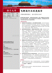 电解液行业深度报告：价格战罢现拐点，龙头复苏正当时.pdf