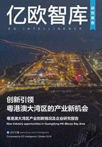 粤港澳大湾区产业创新情况及企业研究报告.pdf