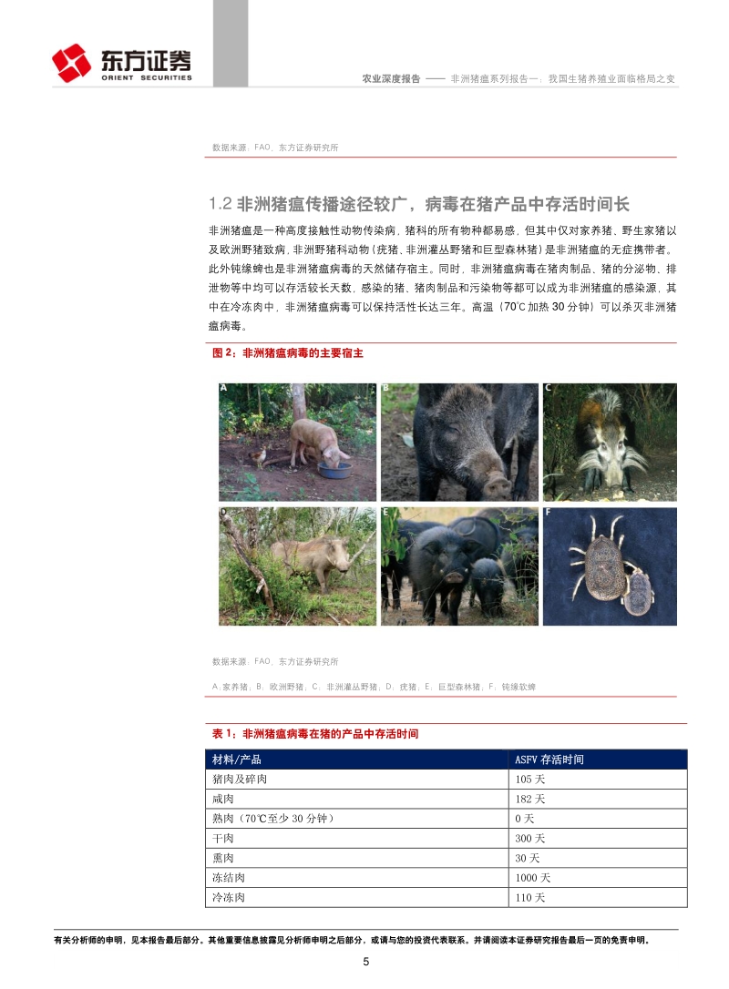 非洲猪瘟系列报告一：我国生猪养殖业面临格局之变.pdf_第5页