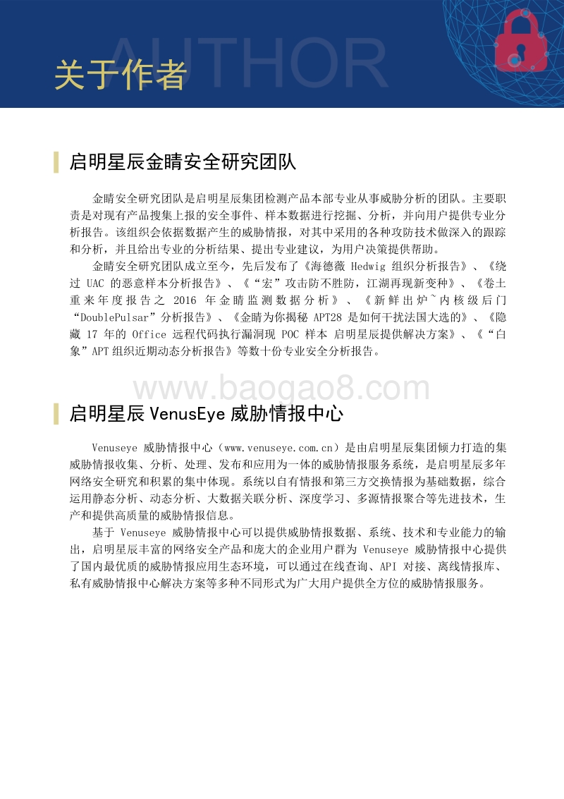 2017网络安全态势观察报告.pdf_第3页