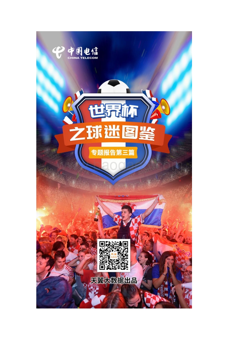2018俄罗斯足球世界杯专题报告（三）.pdf_第1页