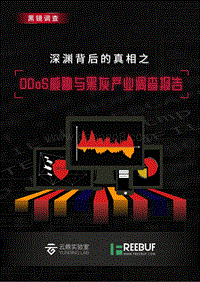 深渊背后的真相之DDoS威胁与黑灰产业调查报告.pdf