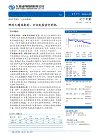 化工：燃料乙醇风起时，迎来发展黄金时机.pdf