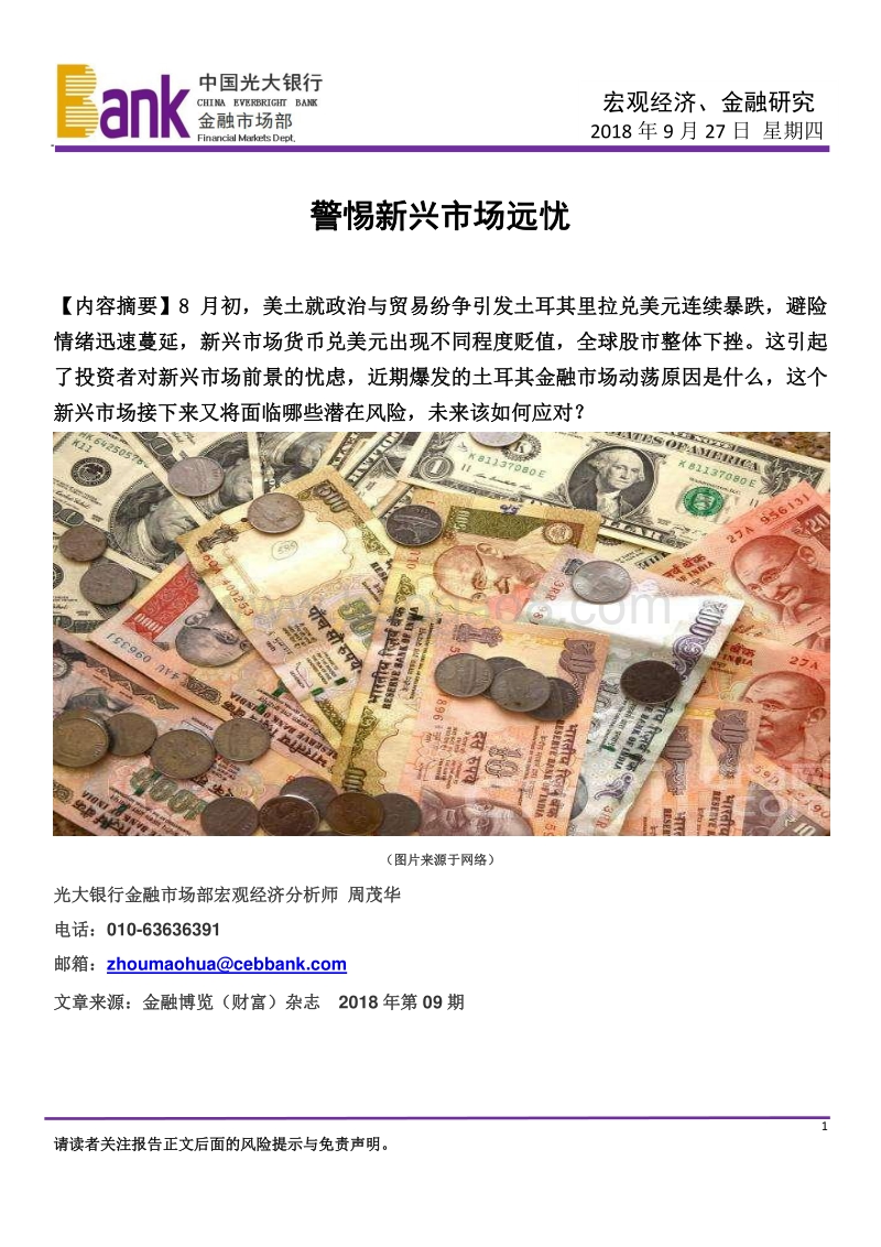 宏观经济、金融研究：警惕新兴市场远忧.pdf_第1页